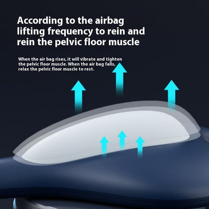 Pelvaira seated trainer movement illustration