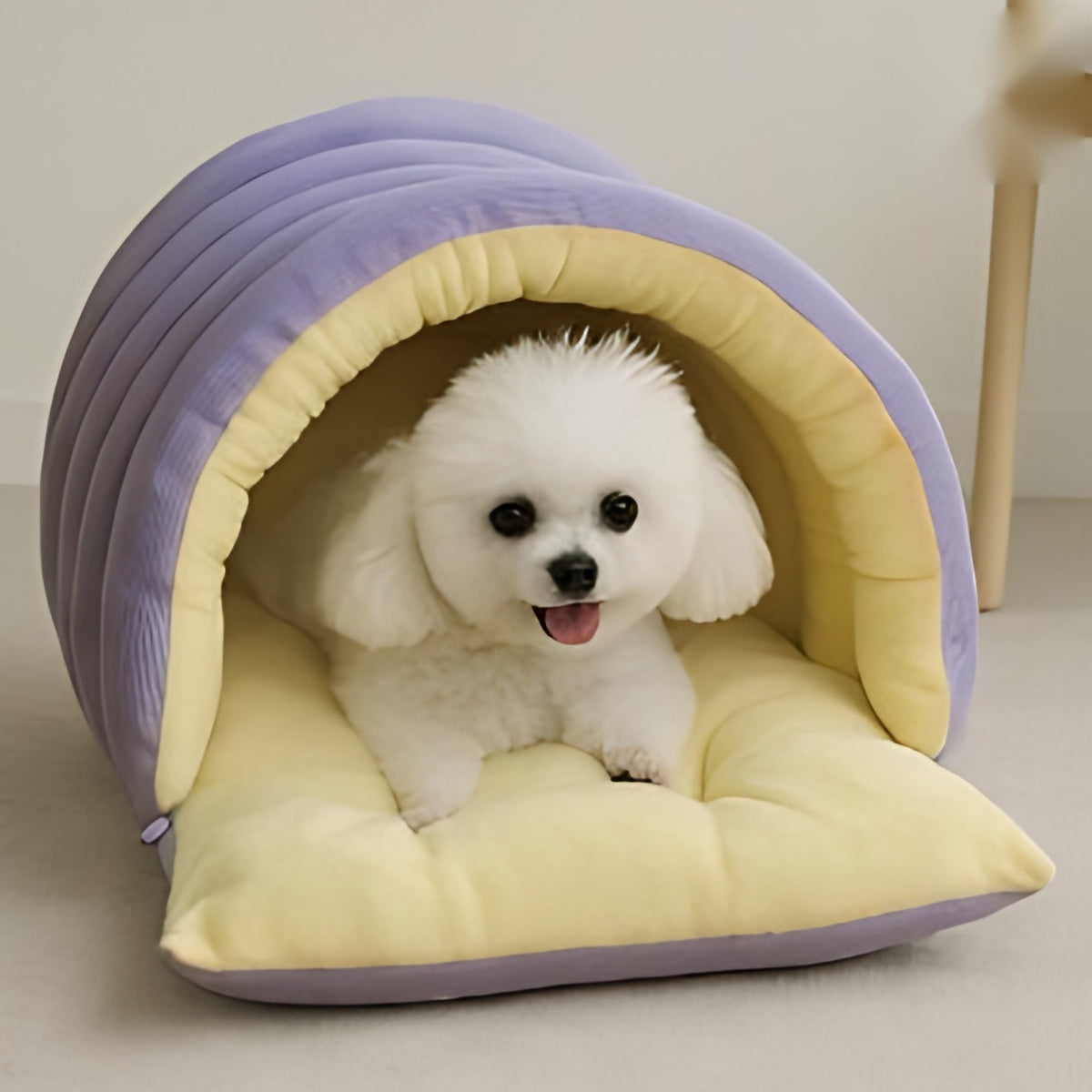 CozyPaw Warm Hideaway Haven – Corduroy Tunnel Bed