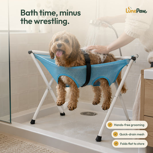 Small dog resting in the PawHammock grooming stand during a hands-free shower bath