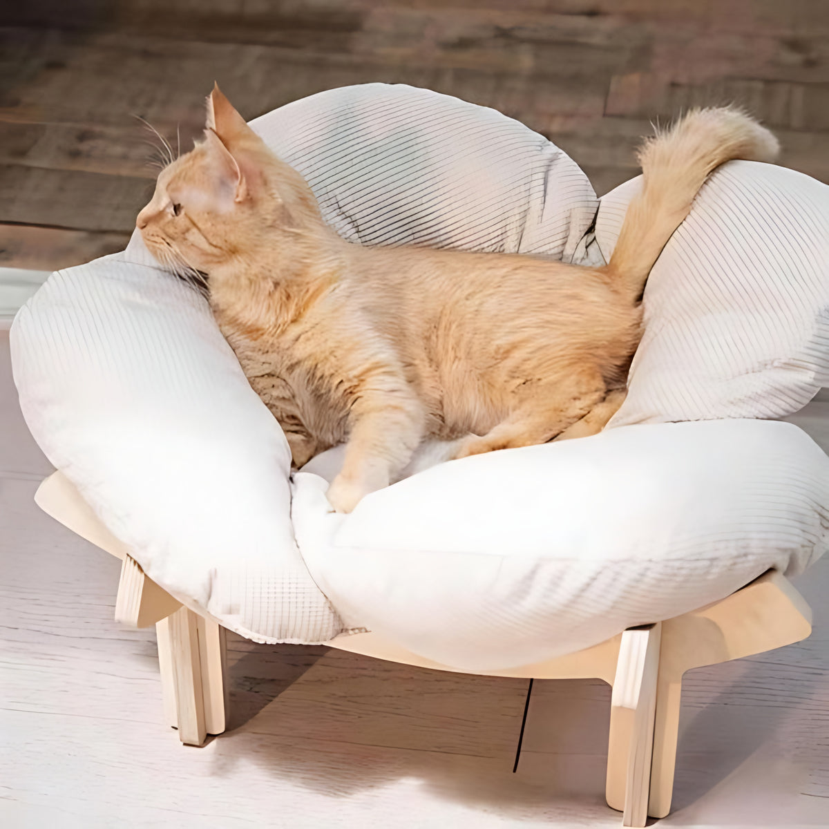 Elevated Wooden Cat Bed – Japandi Petal Lounger